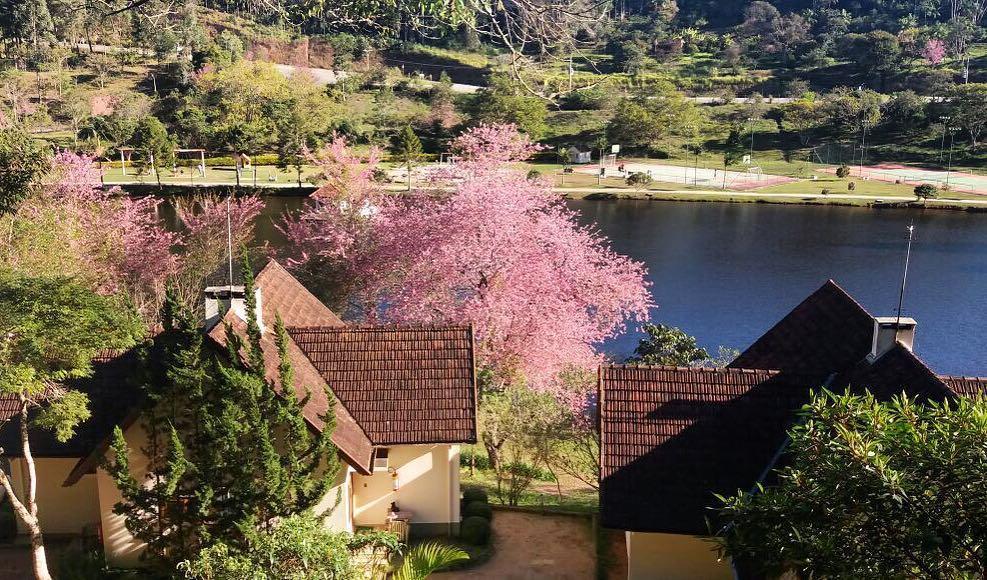 Hotel Fazenda Monte Verde Golf & Resort Варжен-Алта Экстерьер фото