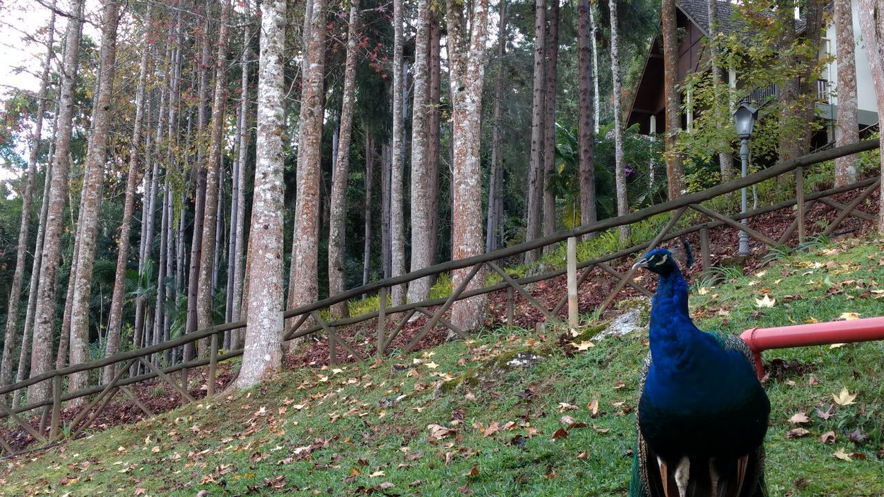 Hotel Fazenda Monte Verde Golf & Resort Варжен-Алта Экстерьер фото